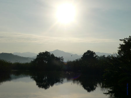 LaTovaraArnow07