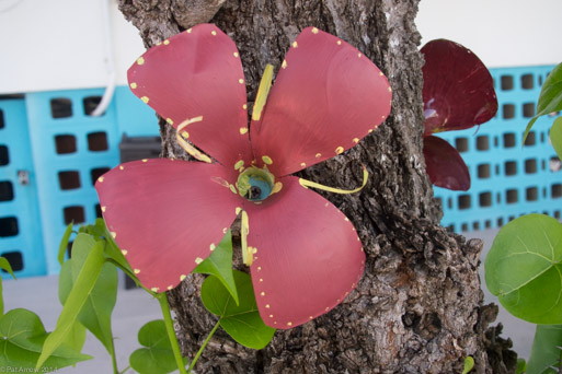 Plastic bottle flower 