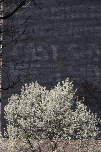 Spring in the City