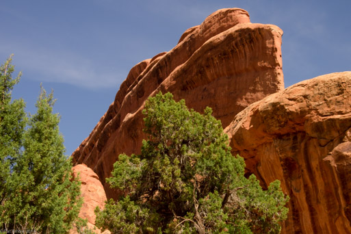A Ship's Prow in Arches