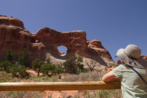 Consider the arches