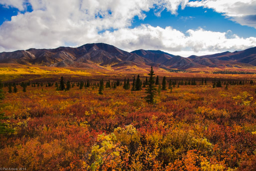 Tundra in September