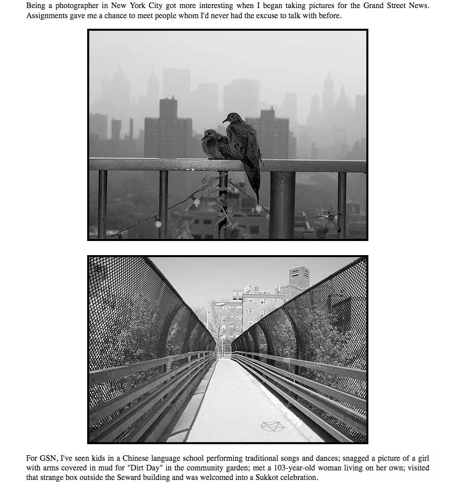 Pixel Dust and Me, the story of becoming a digital photographer after giving up film and paper, by Pat Arnow
