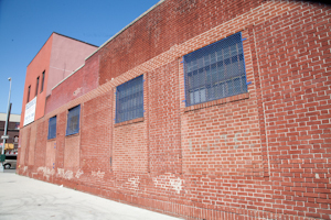 Brick wall of a warehouse, Bathgate, Bronx. Photo by Pat Arnow