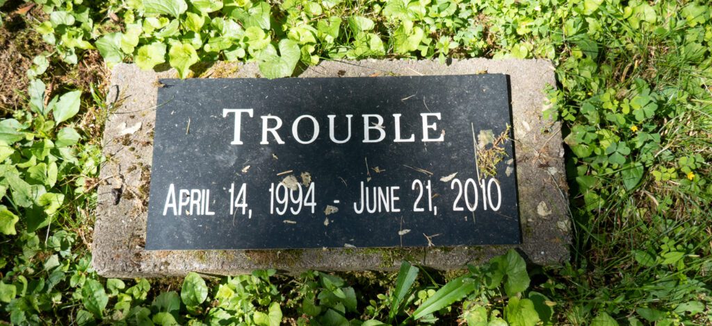 Trouble--gravestone in a pet cemetery, Nova Scotia