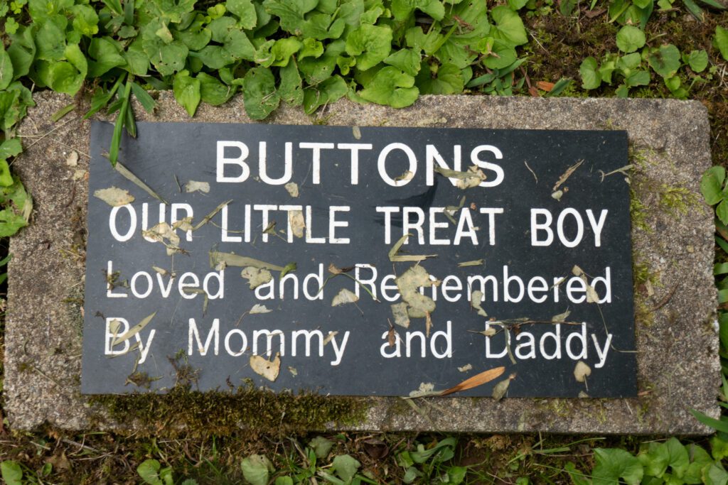 Buttons, headstone in a pet cemetery in Nova Scotia