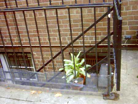 Houseplant in Solitary, East Village