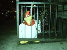 Plush chicken behind bars