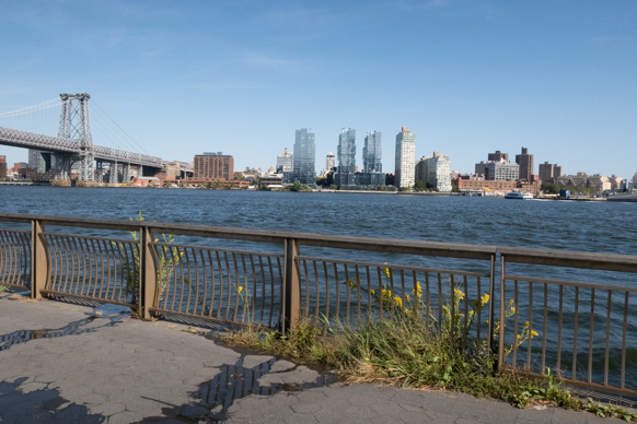 weeds in the cracks in (the late great) East River Park