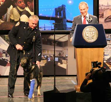 With a panoramic backdrop to match his list of accomplishments, Mayor Bloomberg didn't fear being upstaged by a hero police dog (Ranger, accompanied by Police Officer Neal Campbell) as he delivered his State of the City address. (01.26.07)